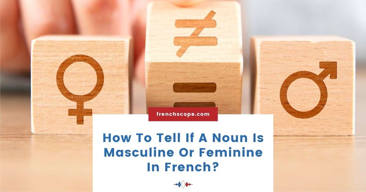 french-noun-gender-explained-rules-tips-and-examples